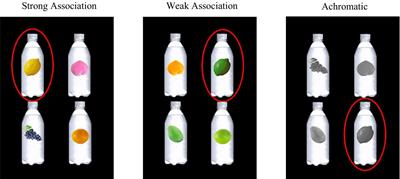 Effects of color-flavor association on visual search process for reference pictures on beverage packaging: behavioral, electrophysiological, and causal mechanisms